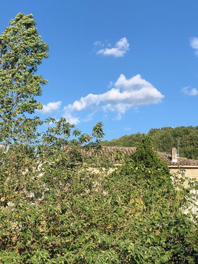 Chez Marius Villa Lagorce  Buitenkant foto